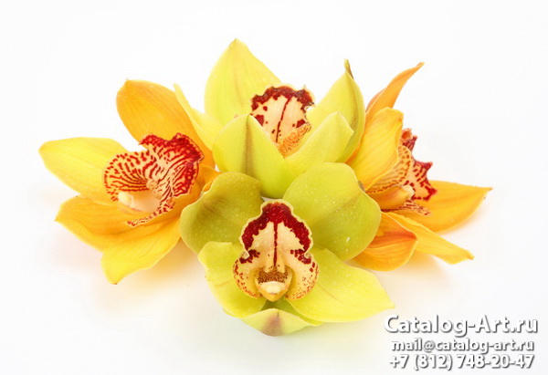 картинки для фотопечати на потолках, идеи, фото, образцы - Потолки с фотопечатью - Желтые и бежевые орхидеи 17